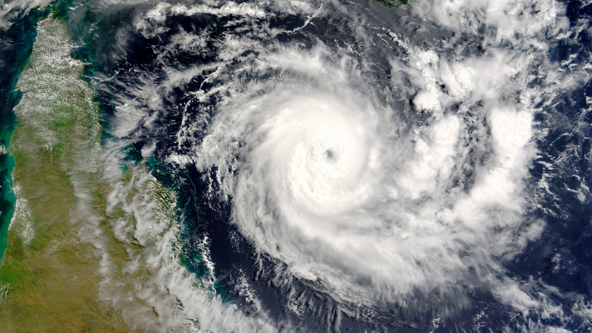 Logan Chamber business resilience